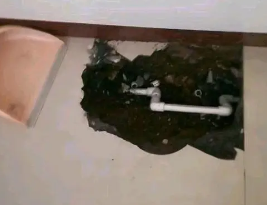 谢通门卫生间测漏水多少钱